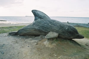 Driftwood Dolphin Sculpture by Paul Sivell
