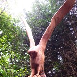 Hare Raising
