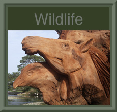 Wildlife Sculpture Gallery