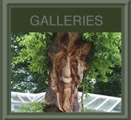 The Carved Tree Galleries