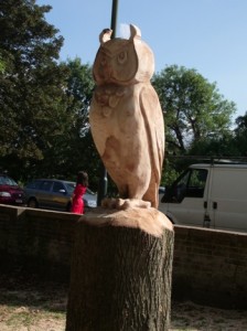 Knellar Gardens Owl 