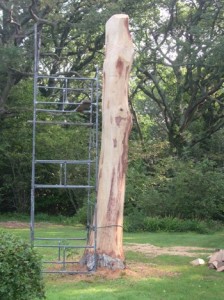 Queen Eleanor's Green Man 01